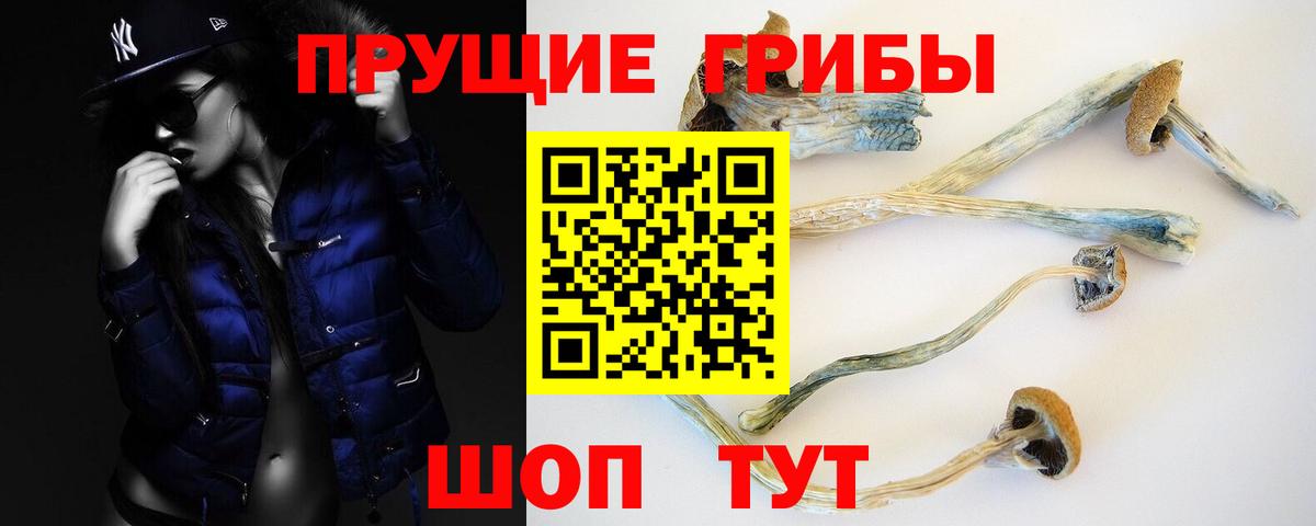 Галлюциногенные грибы GOLDEN TEACHER  где найти наркотики  Лангепас  Псилоцибиновые грибы Psilocybine cubensis  Вход с VPN 